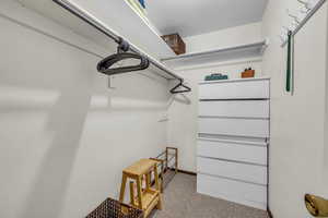 Walk in closet with light carpet