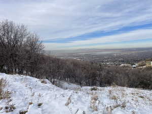 View of snowy view