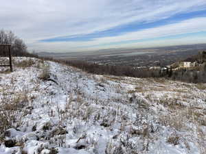 View of snowy landscape