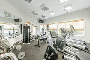 Workout area featuring a wealth of natural light