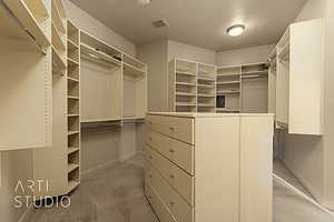 Spacious closet featuring carpet