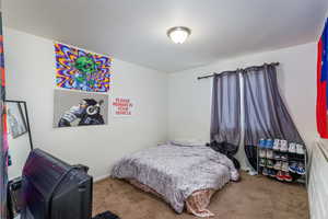 Bedroom featuring carpet floors and a textured ceiling