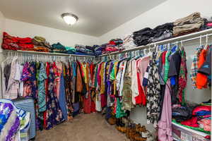 Spacious closet featuring carpet