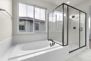 Bathroom with separate shower and tub