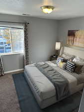 Carpeted bedroom featuring a textured ceiling