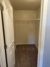 Spacious closet with dark carpet