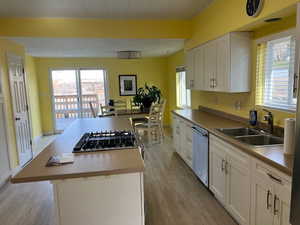 Kitchen featuring light wood-type flooring, stainless steel appliances, sink, white cabinets, and a kitchen island