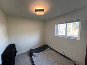 Unfurnished bedroom with carpet floors and a textured ceiling