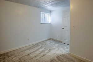 Spare room with new light gray carpet and a textured ceiling