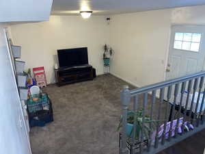 Living room with dark colored carpet