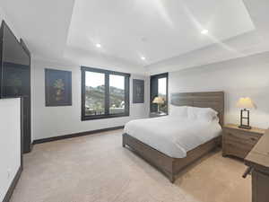 Carpeted bedroom with a raised ceiling