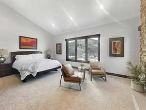 Carpeted bedroom with lofted ceiling