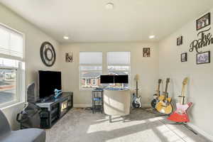 Office area featuring plenty of natural light and carpet floors