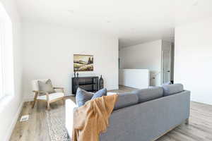 Living room featuring light wood-type flooring