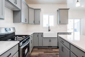 Kitchen with gas range, sink, gray cabinetry, and dark hardwood / wood-style flooring