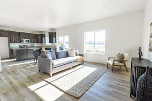 Living room with light hardwood / wood-style floors