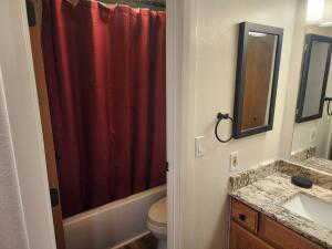 Full bathroom featuring shower / bath combo, vanity, and toilet