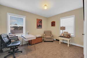 Office space featuring carpet floors and a wealth of natural light