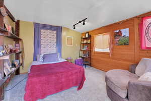 Bedroom with wood walls, rail lighting, and light carpet