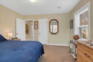 Bedroom featuring multiple windows and light colored carpet