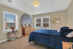 Bedroom with light carpet and multiple windows