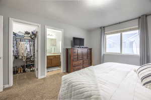 Carpeted bedroom with a walk in closet, sink, ensuite bath, a textured ceiling, and a closet