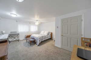 Down stairs Mother-in-law master bedroom with walk-in-closet