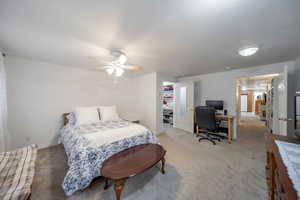 Large Mother-in-law bedroom with a walk-in-closet