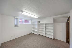 Basement Bedroom