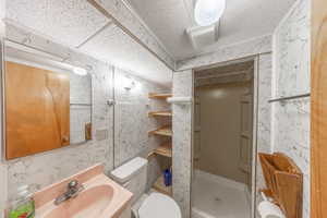 Bathroom with toilet, a drop ceiling, a shower, and vanity