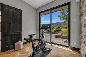 Exercise area featuring a mountain view and light parquet floors