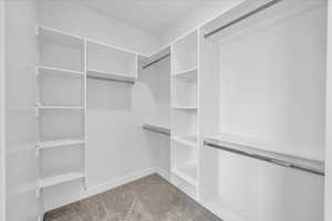 Spacious closet featuring light colored carpet