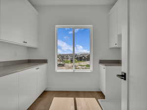Clothes washing area with baseboards, light wood finished floors, and plenty of natural light