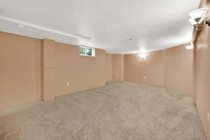 Basement with carpet floors