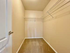 Spacious closet featuring carpet floors