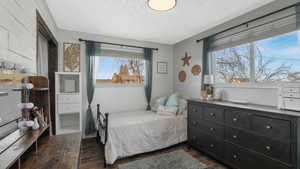 Bedroom featuring multiple windows and dark hardwood / wood-style floors