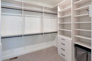 Walk in closet featuring light carpet