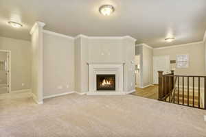 Carpeted living room featuring crown molding