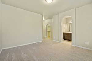 Unfurnished bedroom featuring light carpet, ensuite bathroom, sink, a spacious closet, and a closet