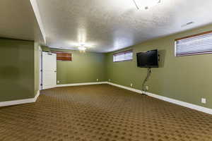 Basement bedroom with carpet flooring, a bathroom and wealth of natural light, and a textured ceiling