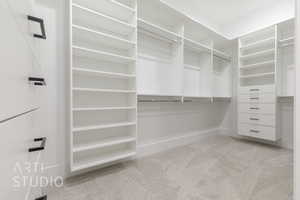 Spacious closet featuring light carpet