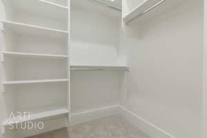 Spacious closet with carpet flooring