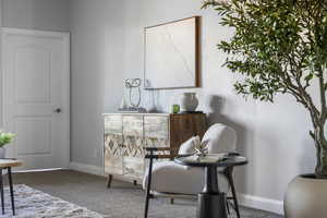 Sitting room with carpet flooring