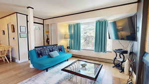 Living room featuring wood-type flooring and a baseboard radiator