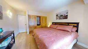 Bedroom featuring light hardwood / wood-style floors and a closet