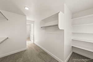 Walk in closet with carpet