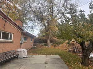 View of yard featuring a patio area