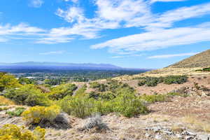 Neighborhood Trails