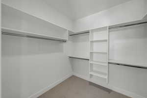 Spacious closet featuring light carpet