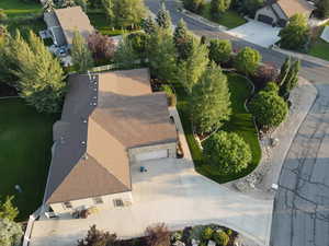 Aerial View of Landscaping!  Large Variety of Mature Trees for Privacy on Corner Lot!